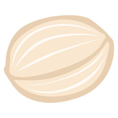 Illustration of Cardamom