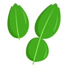 Stylized Green Lime Leaves Illustration