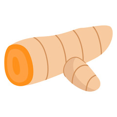  Illustration of Fresh Turmeric Root