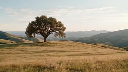 A solitary tree stands majestically on a sunlit hill, surrounded by vast, rolling landscapes embracing tranquility and solitude.