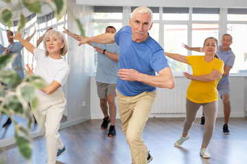Fototapeta premium Group of aged people rehearsing sports dance in dance hall