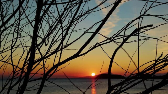 Trees in the Morning Sunrise Light in Turkey Datca