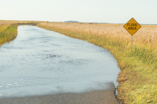 an ironic road sign that reads flood area on a former road that is now a beach, the result of woke rising sea levels combined with land erosion creating a climate disaster claiming real estate