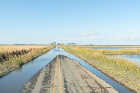 View of a rural American paved road with salt water collecting upon the double yellow lined asphalt due to rising sea levels combined with land erosion 