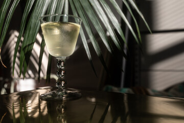 glass of white wine with palm frond background