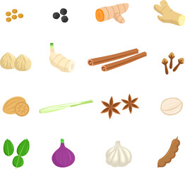 Set of spices, herbs and kitchen spices