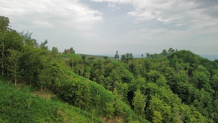 Drone view of hills with trees and agricultural fields with footpaths on the Silayur hills, Kebumen