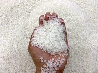 a Hand Holding white Plastic Pellets - Top View