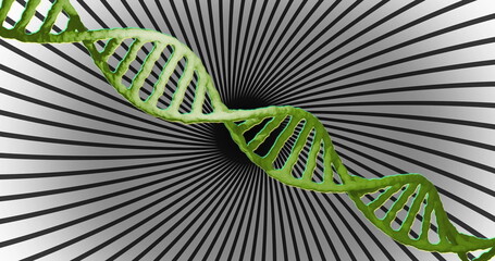 Image of dna strand and data processing over spinning stripes
