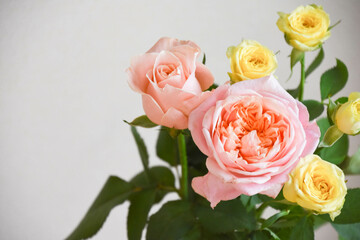 ピンクと黄色のばら