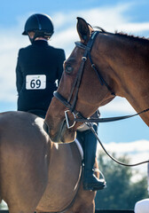Detail on horses at show jumping arena