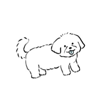 可愛いシンプルな線画の犬のマルチーズ　アニメーション