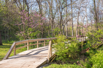 The Great Missouri Birding Trail in Springfield, Missouri, is divided into six regions with excellent bird-watching spots.