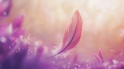 Naklejka premium Soft pink feather floats gently above purple wildflowers in sunlit field.