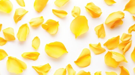 Naklejka premium Yellow Flower Petals Isolated on White Background Beautiful Floral Composition for Design and Decoration Purposes