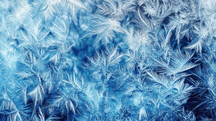Obraz premium Delicate frost patterns on glass showcasing the beauty and danger of winter ice storms in a cold blue palette.