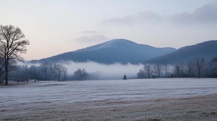 Fototapeta premium Winter foggy mountain landscape with frosted trees and serene atmosphere during early morning light