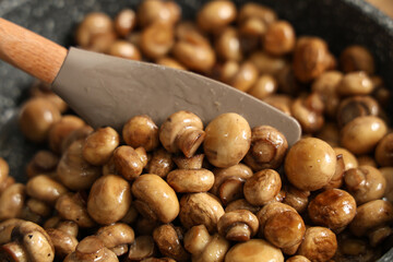 Roasted mushrooms in frying pan, closeup