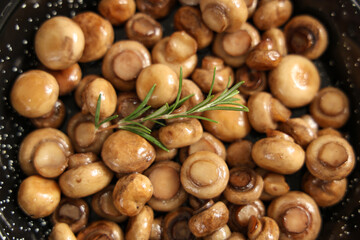 Roasted mushrooms with rosemary in frying pan, closeup