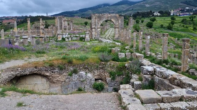 View of ancient Roman ruins with the village of Djemila in the background on a rainy spring day, surrounded by blooming flowers adding vibrant color to the scene