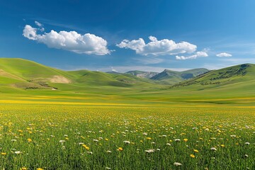 Serene Rolling Hills Landscape with Wildflowers