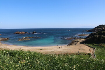三浦半島南部の爪木崎。浜辺に水仙とアロエの花が咲き乱れる。池の段ビーチ。