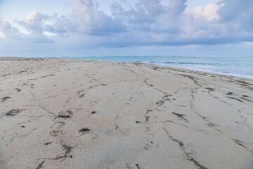 Seascape of the Dominican Republic
