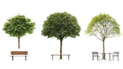 Trees and Benches on Clear Background Generative AI