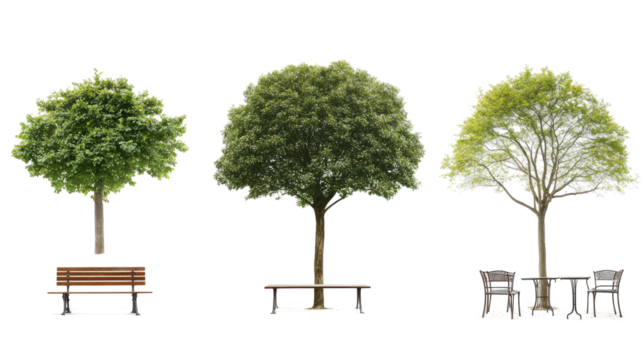 Trees and Benches on Clear Background Generative AI