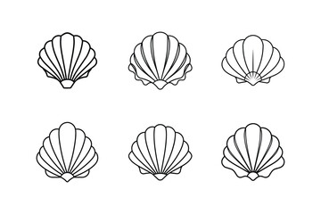 seashell vector line art illustration