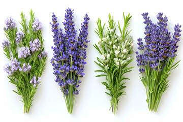 Obraz premium Lavender Rosemary Photo: Floral Still Life