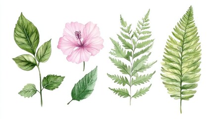 Obraz premium Set of watercolor illustrations, clipart isolated on a white background, leaves and flowers from tropical plants, hibiscus flower, palm leaf