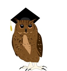 The owl in graduation cap