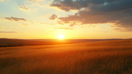 Obraz premium Golden Sunset Prairie Grassland