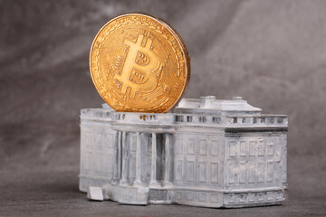 itcoin coin against the backdrop of the white house usa