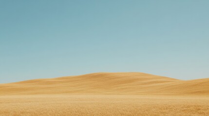 Fototapeta premium Expansive Golden Wheat Field Under a Clear Blue Sky with Gentle Hills Creating a Serene and Peaceful Rural Landscape Scene