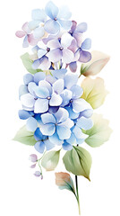 Fototapeta premium Digital vintage hydrangea floral bouquet abstract graphic poster background