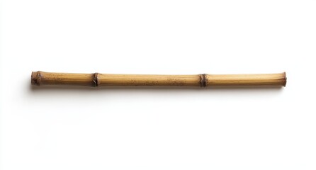 Single, light-brown bamboo stick isolated on white. (1)