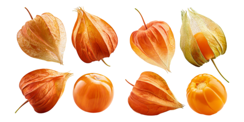 Colorful Physalis Fruits, PNG set collection, isolated on transparent background