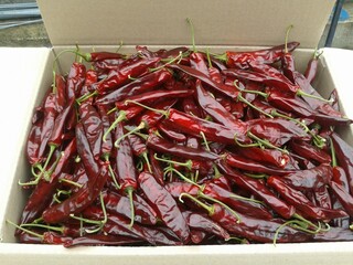 dried chili peppers in Korea.