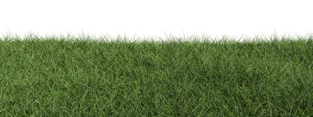 green grass isolated on white background