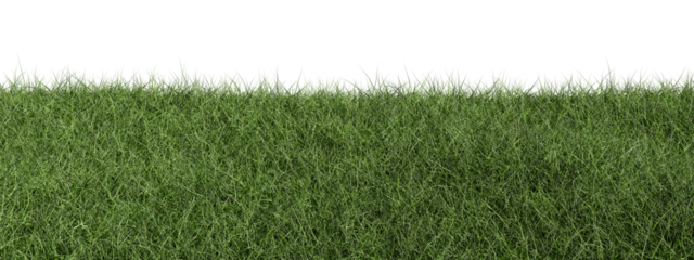 green grass isolated on white background