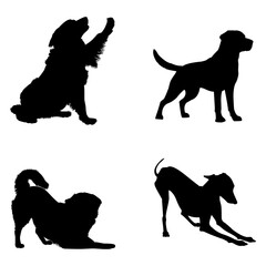 bringing the brand identity to life with the dog icon as a blend of art and symbolism