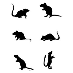 mouse motif in design, symbolic of mice for a meaningful visual identity