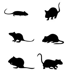 rat in branding icon that conveys a message of courage, rigor, and progress