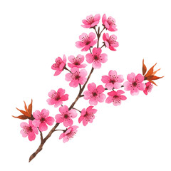 Obraz premium Beautiful Pink Cherry Blossom Branch Watercolor Art Spring Floral Design Soft Asian Plant Bloom 