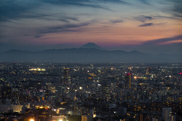 view of the Tokyo city and Mount. Fuji