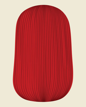 visual art of chinese new year celebration symbols