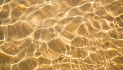 美しくキラキラ輝く水面