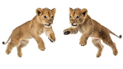 Jumping Lions Captured in Dynamic Action Poses Generative AI